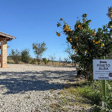 Vakantiehuis Pinetoalba