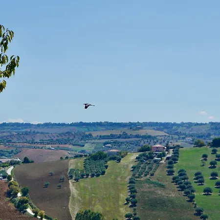 Vakantiehuis Pinetoalba Scerne