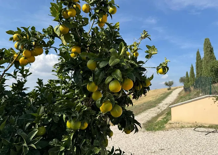 Σπίτι διακοπών Pinetoalba Scerne